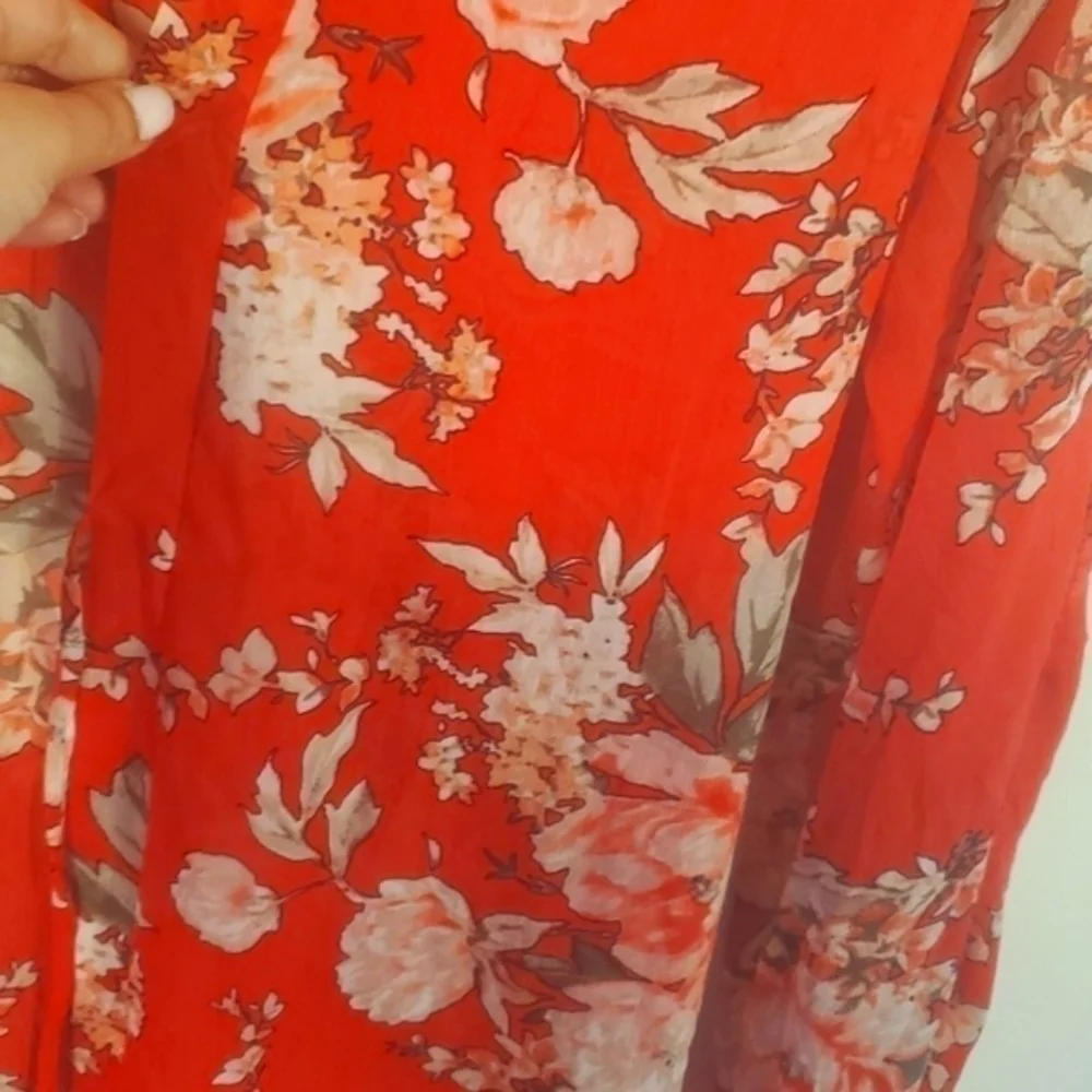In Bloom bloom floral